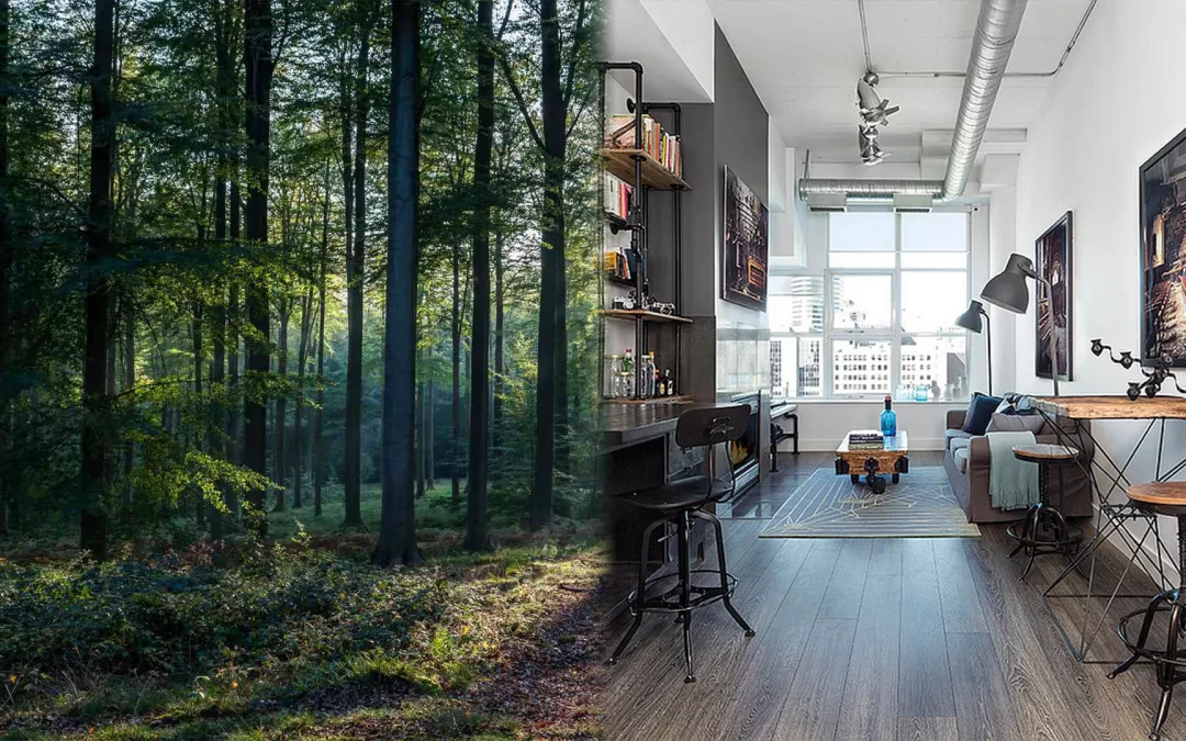 Soundproofing vs. Acoustic Treatment: What’s the Difference?